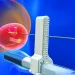 Prostat Hastalığı Nedir ?
