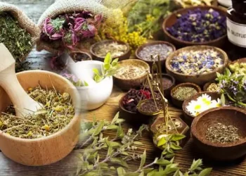 Tıbbi Ve Aromatik Bitkiler Hangileridir, Özellikleri Nelerdir?