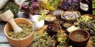 Tıbbi Ve Aromatik Bitkiler Hangileridir, Özellikleri Nelerdir?