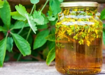 Bitkisel (Fitoterapi) ürünler nedir, ne değildir?