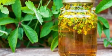 Bitkisel (Fitoterapi) ürünler nedir, ne değildir?