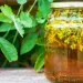 Bitkisel (Fitoterapi) ürünler nedir, ne değildir?