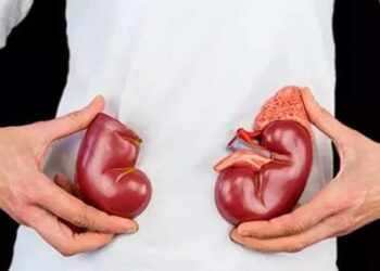 Böbrek sağlığı için ilaç kullanımına dikkat! Prof. Dr. Bilal Görçin açıklıyor