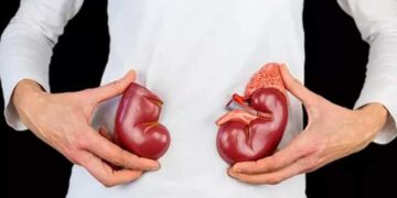Böbrek sağlığı için ilaç kullanımına dikkat! Prof. Dr. Bilal Görçin açıklıyor