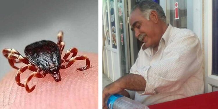 Aman sakın yapmayın! Keneye bunu yaptı canından oldu